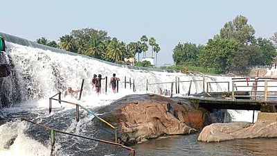 கொடிவேரி அணையில் குளிக்க சுற்றுலாப் பயணிகளுக்கு அனுமதி