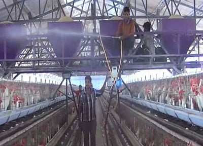 கேரளத்தில் பறவைக் காய்ச்சல்: நாமக்கல் கோழிப் பண்ணைகளில் தடுப்பு நடவடிக்கைகள் தீவிரம்!