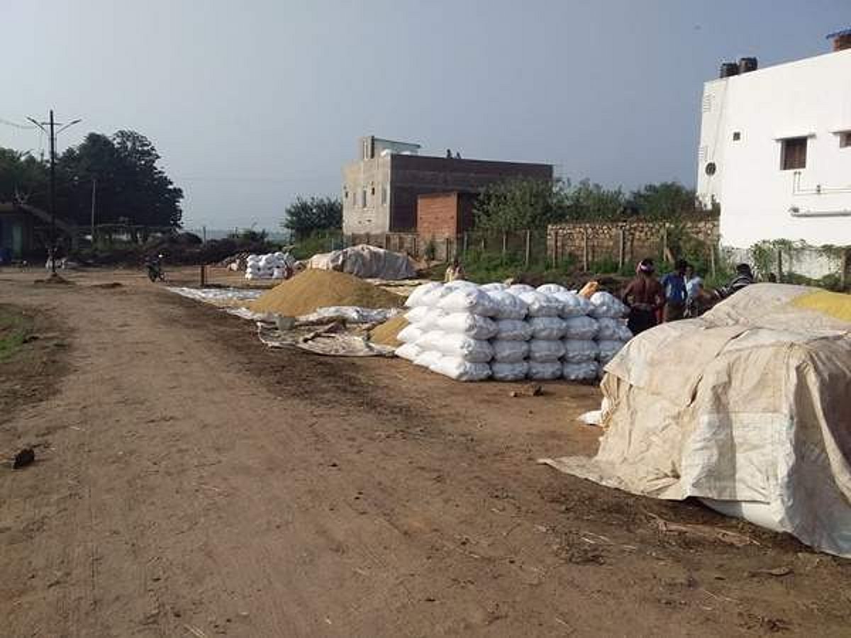 கூடலூரில் நெல் கொள்முதல் நிலையம் திறக்க தாமதம்: தனியாரிடம் விற்கும் விவசாயிகள்!