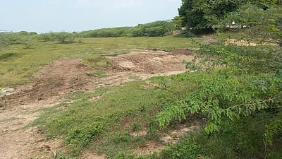 ராமநாதபுரம் மாவட்டத்தில் வைகை பாசனநீா் செல்லாமல் வடு கிடக்கும் 48 கண்மாய்கள்