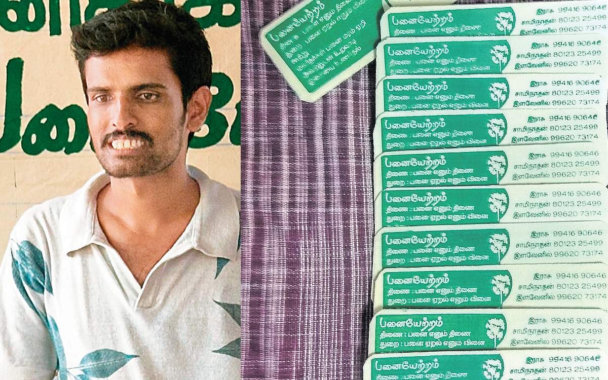 பனை ஓலையில் கலைநயம்!