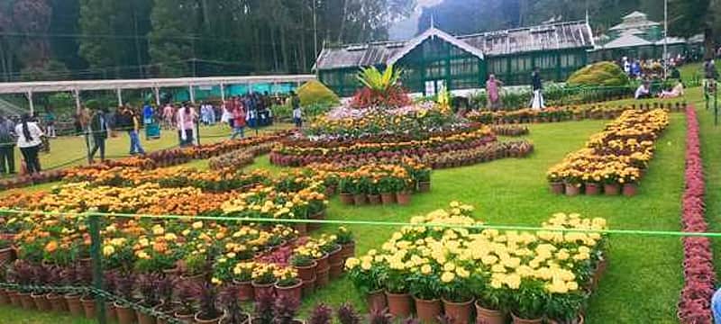 ooty