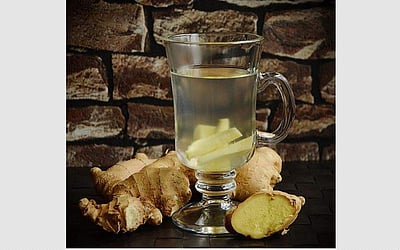 சுகம் தரும் சித்த மருத்துவம்: ‘இஞ்சி’ குடல்வாழ் கிருமிகளைக் காக்குமா?  