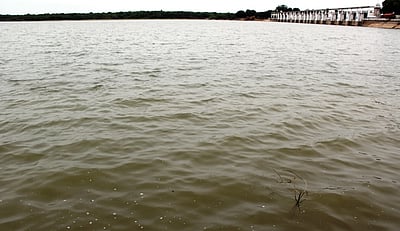 திருவள்ளூா் மாவட்டத்தில் பரவலான மழை: நீா் நிலைகளில் தண்ணீா் வரத்து அதிகரிப்பு