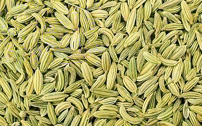 பாட்டி வைத்தியம்..