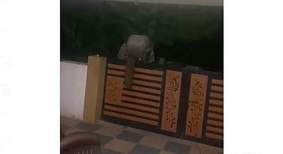 சின்ன தடாகம் வனப்பகுதியில் தற்போது 20க்கும் மேற்பட்ட யானைகள்: மக்கள் அச்சம்