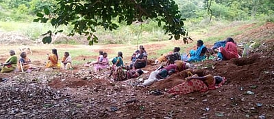 வி.பெருமாள்பட்டி கிராமத்தில் 100 நாள் வேலை தடுத்து நிறுத்தம்!