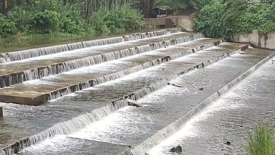 கோவையில் தொடர் மழை: ராஜவாய்க்கால் தடுப்பணை திறப்பு