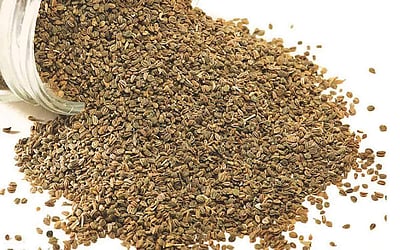 சமையல் குறிப்புகள்