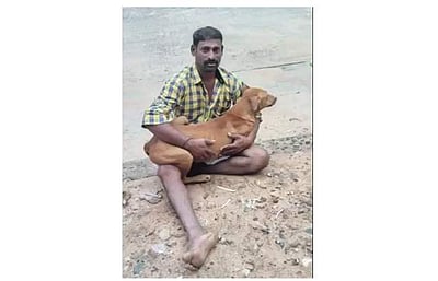 எஜமானரை காப்பாற்ற நினைத்து மின்வேலியை மிதித்து உயிரைவிட்ட 5 நாய்கள்: எஜமானரும் பலி