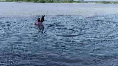 சீர்காழியில் 3-வது நாளாக மழை: 30 ஆயிரம் ஏக்கர் சம்பா பயிர்கள் சேதம்