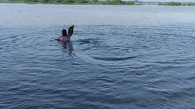 சீர்காழியில் 3-வது நாளாக மழை: 30 ஆயிரம் ஏக்கர் சம்பா பயிர்கள் சேதம்