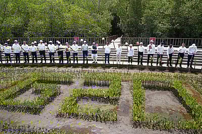 பாலி மாங்குரோவ் காடுகளை பார்வையிட்ட உலகத் தலைவர்கள்!