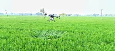 காரீப் நெற்பயிருக்கு  ஜூலை 31-க்குள் பயிா்க்காப்பீடு செய்யலாம்