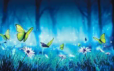 வண்ணத்துப் பூச்சி...