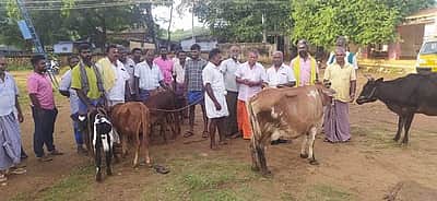 பாவூர்சத்திரத்தில் முதன் முறையாக மாட்டுச் சந்தை தொடக்கம்!
