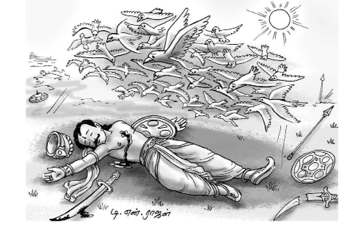 நிழல் கொடுத்த பறவைகள்