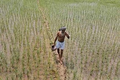 ஆதாா் இணைக்காத 9 லட்சம் விவசாயிகள்:ஆண்டுக்கு ரூ.6,000 பெறுவதில் சிக்கல்