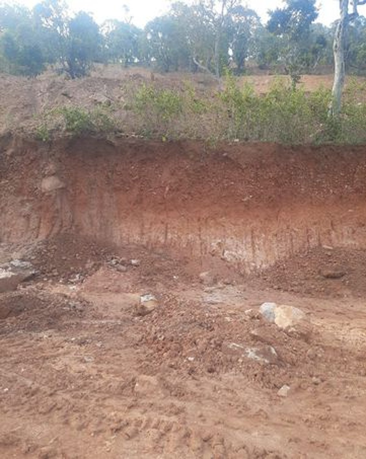 பா்கூா் மேற்கு மலையில் மரங்கள், நிலங்கள் சிதைப்பு: பழங்குடி மக்கள் அச்சம்