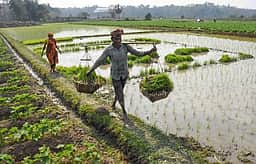 பயிா்கடன் தள்ளுபடி: கந்தா்வகோட்டை விவசாயிகள் அதிருப்தி