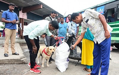 விழுப்புரம் மாவட்டத்தில் வெடிகுண்டு சோதனை