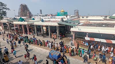 பழனி முருகன் கோயிலில் 3 நாள்கள் கட்டண தரிசனம் ரத்து! 