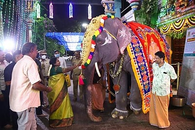 மணக்குள விநாயகர் கோயில் லட்சுமி யானை மறைவு: தமிழிசை இரங்கல்