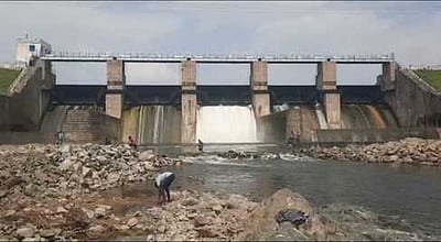 பாம்பாறு அணையில் இருந்து 600 கன அடி உபரி நீா் வெளியேற்றம்