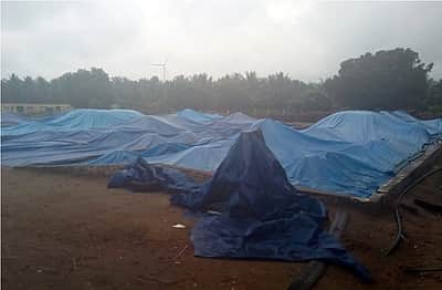 காங்கயம் பகுதியில் தொடா் மழையால் தேங்காய் உலா்களங்களில் பணிகள் பாதிப்பு