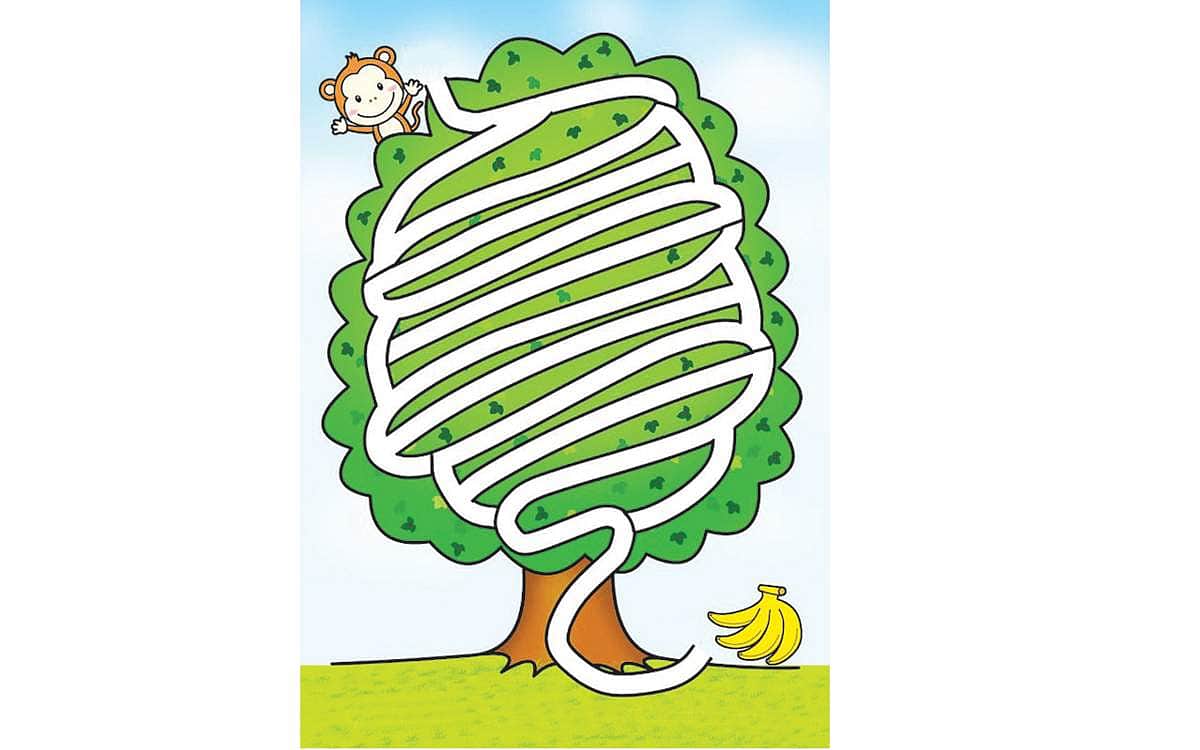 வழி காட்டுங்கள்