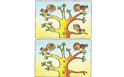 கண்டுபிடி கண்ணே!