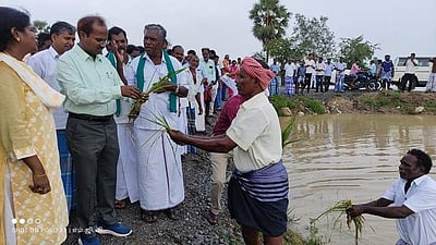 மழை வெள்ளத்தால் சூழப்பட்ட வயல்வெளிகளில் வேளாண் இயக்குநர், ஆட்சியர் நேரில் ஆய்வு!