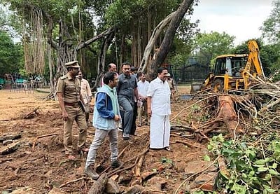 மாண்டஸ் புயல் பாதிப்பு: வண்டலூர், கிண்டி பூங்காக்களில் அமைச்சர் கா.ராமச்சந்திரன் நேரில் ஆய்வு