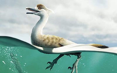 அறிவியல் ஆயிரம்: வாத்து போன்ற புதிய வகை டைனோசர்! - புதிய கண்டுபிடிப்பு