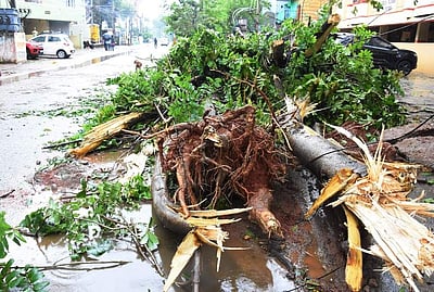 சென்னை பெருநகர போக்குவரத்தின் தற்போதைய நிலவரம் என்ன?