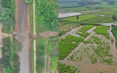 பெருந்துறை அருகே வாய்க்கால் உடைப்பு: 800 ஏக்கருக்கு மேல் விவசாய நிலங்கள் பாதிப்பு!