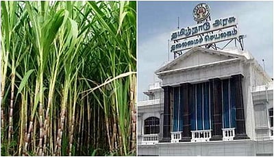 கரும்புக்கு ரூ.195 ஊக்கத் தொகையுடன் ரூ.2,950 விலை நிர்ணயம்: தமிழக அரசு அறிவிப்பு!