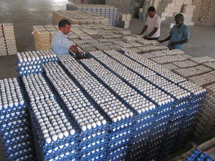 இந்திய விமானப் படை உணவகத்துக்குச் செல்ல வேண்டிய 4,000 முட்டைகள் திருட்டு