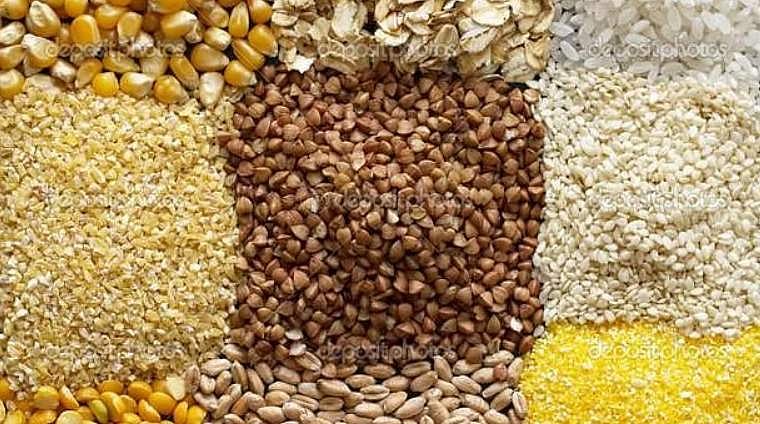 சிறுதானிய சாகுபடியை ஊக்குவிப்போம்