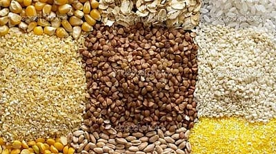 சிறுதானிய சாகுபடியை ஊக்குவிப்போம்