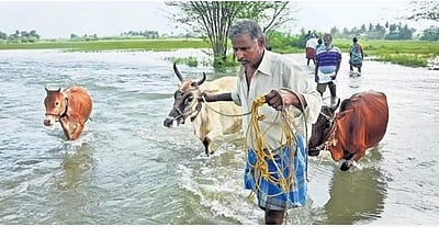 பேரழிவுக்கு வழிவகுக்கும் பரந்தூர் விமான நிலைய திட்டம்