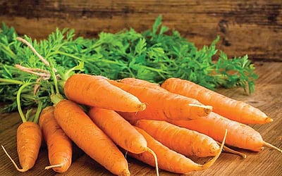 பாட்டி வைத்தியம்...