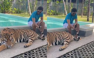 புலி வால் பிடித்து விடியோ வெளியிட்ட நடிகருக்கு எதிர்ப்புகள் கிளம்பியுள்ளது!