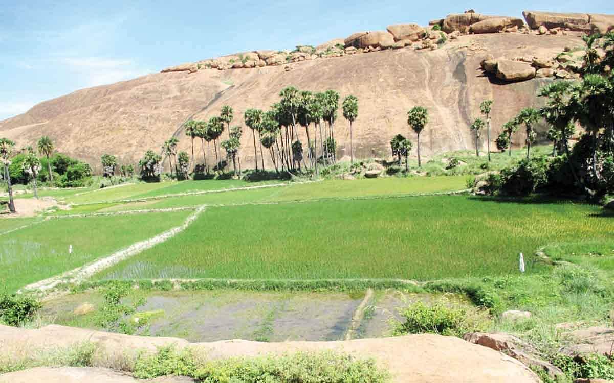 சுற்றுலா மையமாகும்  அரிட்டாபட்டி