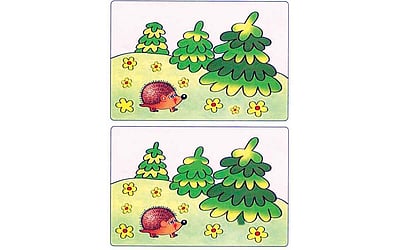 கண்டுபிடி கண்ணே!