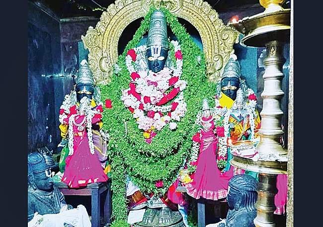 ஆனை காத்த நாயனார்