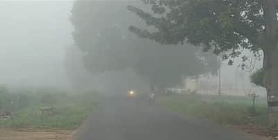 கெங்கவல்லி அருகே மூடுபனி! வாகன ஓட்டிகள் அவதி