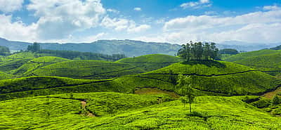 கேரளத்தின் மூணாறில் வெப்பநிலை பூஜ்ஜியத்தைத் தொட்டது