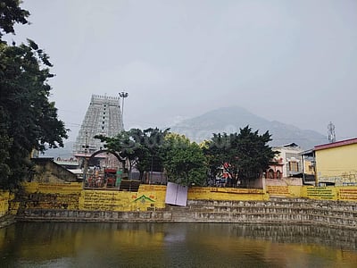 திருவண்ணாமலை மகா தீபம்: மலையேறுபவர்களுக்கு பாஸ் விநியோகம்