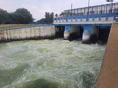 வீராணம் ஏரியிலிருந்து பாசனத்துக்கு நீா் திறக்க அன்புமணி வலியுறுத்தல்